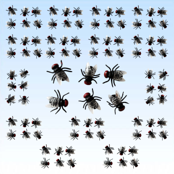 24 lästige Fliegen Scherzartikel