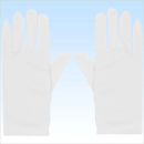 Handschuhe  Abendgarderobe WEIss