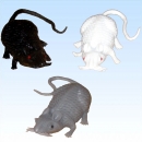kleine Gummi Maus